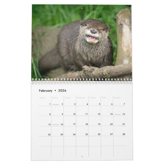 2026 Otters Kalender (Feb 2026)