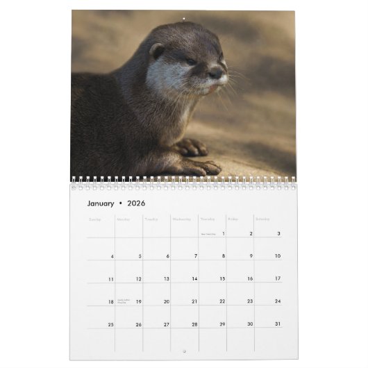 2026 Otters Kalender (Jan 2026)