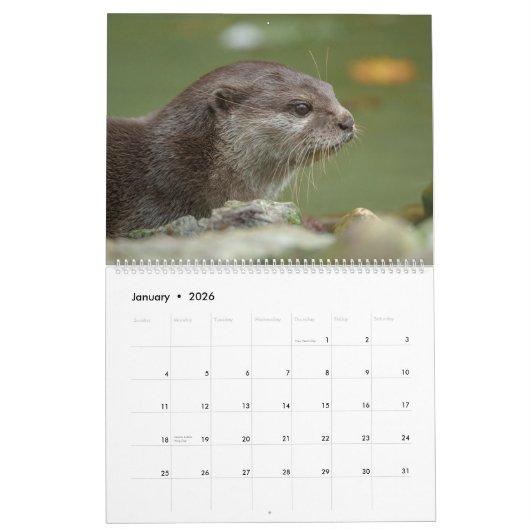 2026 Otters van dichtbij - korte kalender (Jan 2026)