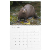 2026 Otters van dichtbij - korte kalender (Mar 2027)