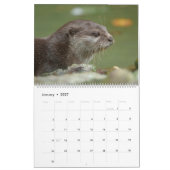 2026 Otters van dichtbij - korte kalender (Jan 2027)