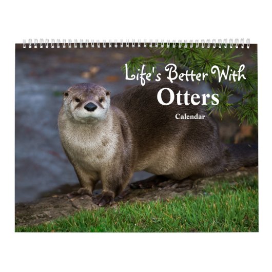 2026 Otters van dichtbij - korte kalender (Hoes)
