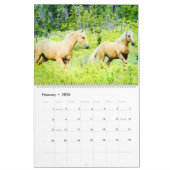 2026 Palomino Horses Ponies Owners Lovers Gift Kalender (Feb 2026)