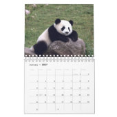 2026 Panda Calendar Kalender (Jan 2027)