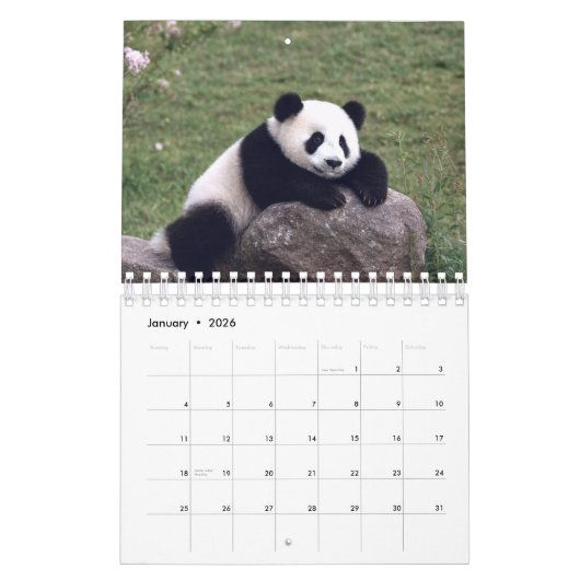2026 Panda Calendar Kalender (Jan 2026)