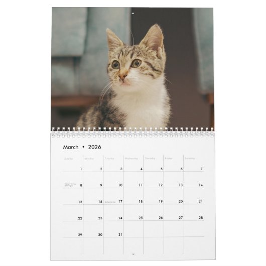 2026 Personalized Cat Photos Create Your Own Kalender (Mar 2026)