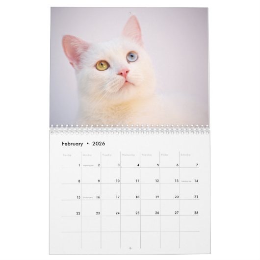 2026 Personalized Cat Photos Create Your Own Kalender (Feb 2026)
