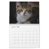 2026 Personalized Cat Photos Create Your Own Kalender (Jan 2026)