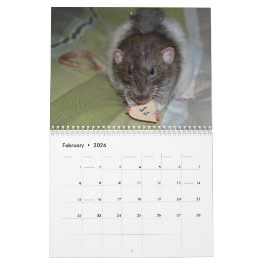 2026 Pet Rat Kalender (Feb 2026)