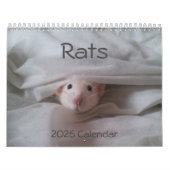 2026 Pet Rat Kalender (Hoes)