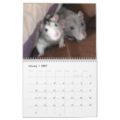 2026 Pet Rat Kalender (Jan 2027)