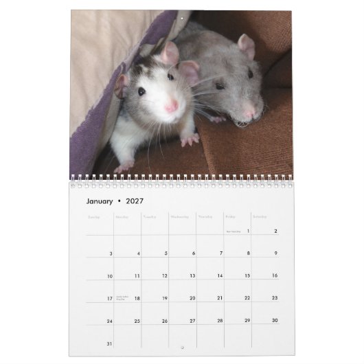 2026 Pet Rat Kalender (Jan 2027)