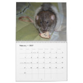 2026 Pet Rat Kalender (Feb 2027)
