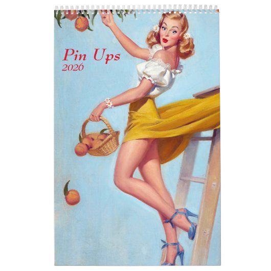 2026 Pin Up Calendar Kalender (Hoes)