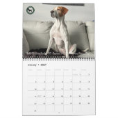 2026 Pointer Rescue Org Calendar Kalender (Jan 2027)