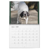 2026 Pointer Rescue Org Calendar Kalender (Mar 2027)