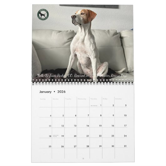 2026 Pointer Rescue Org Calendar Kalender (Jan 2026)