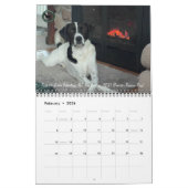 2026 Pointer Rescue Org Calendar Kalender (Feb 2026)