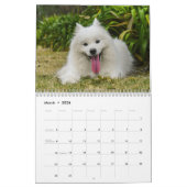 2026 Poppet and the Wolfpack Kalender (Mar 2026)