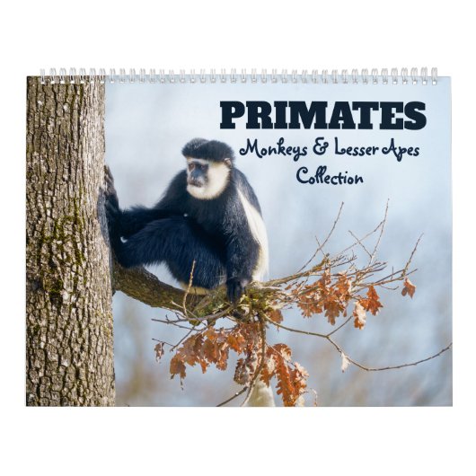2026 Primaten - Monkeys & Lesser Apes Collectie Kalender (Hoes)