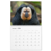 2026 Primaten - Monkeys & Lesser Apes Collectie Kalender (Jan 2026)