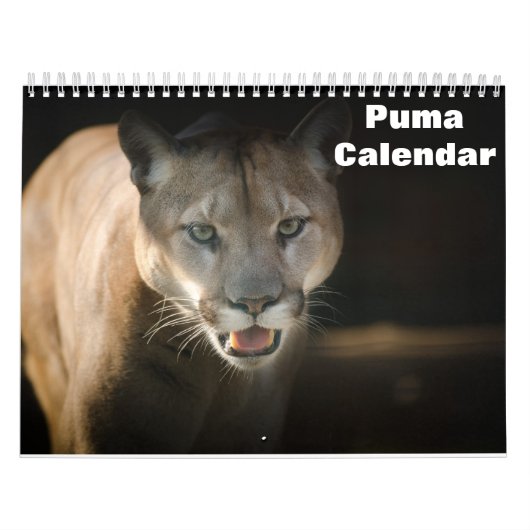 2026 Puma Kalender (Hoes)