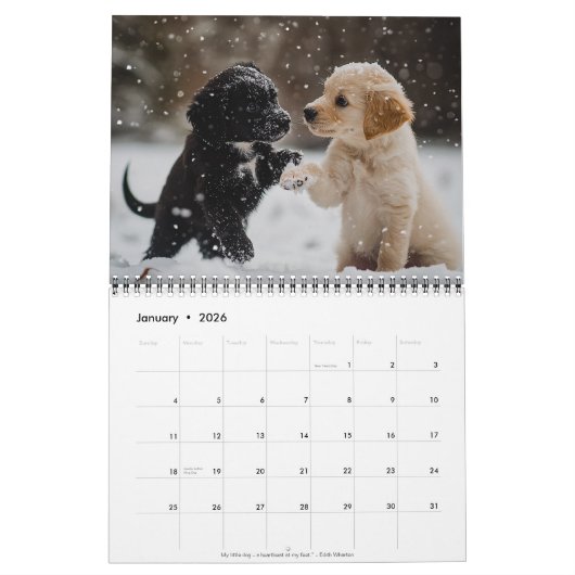 2026 Puppies Wall Calendar Kalender (Jan 2026)
