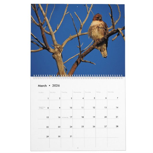 2026 Raptor Rapture Kalender (Mar 2026)