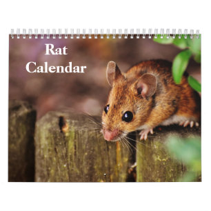 2026 Rat Kalender