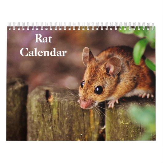 2026 Rat Kalender (Hoes)