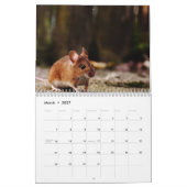 2026 Rat Kalender (Mar 2027)