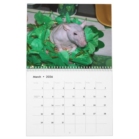 2026 RATS of the Rodent Reader Calendar B Kalender (Mar 2026)