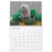 2026 Rats of The Rodent Reader Calendar G Kalender (Mar 2027)