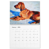 2026 Red Irish Setter Dog Breed Owner Lover Gift Kalender (Feb 2026)