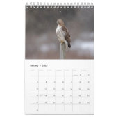 2026 Red-Tailed Hawk Kalender (Jan 2027)