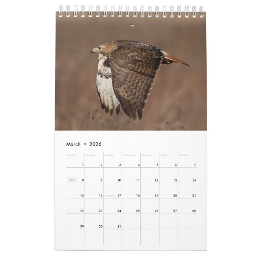 2026 Red-Tailed Hawk Kalender (Mar 2026)