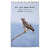 2026 Red-Tailed Hawk Kalender (Hoes)