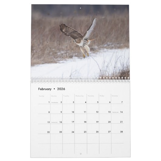 2026 Red-Tailed Hawks in de Hudsonvallei Kalender (Feb 2026)