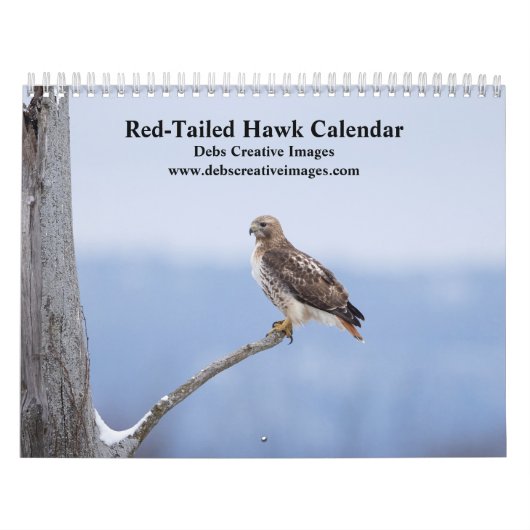 2026 Red-Tailed Hawks in de Hudsonvallei Kalender (Hoes)