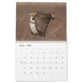 2026 Red-Tailed Hawks in de Hudsonvallei Kalender (Mar 2027)