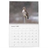 2026 Red-Tailed Hawks in de Hudsonvallei Kalender (Jan 2027)