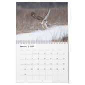 2026 Red-Tailed Hawks in de Hudsonvallei Kalender (Feb 2027)