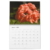 2026 Regenboog van Kleuren Kalender (Mar 2027)