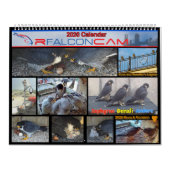 2026 Rfalconcam Calendar Kalender (Hoes)