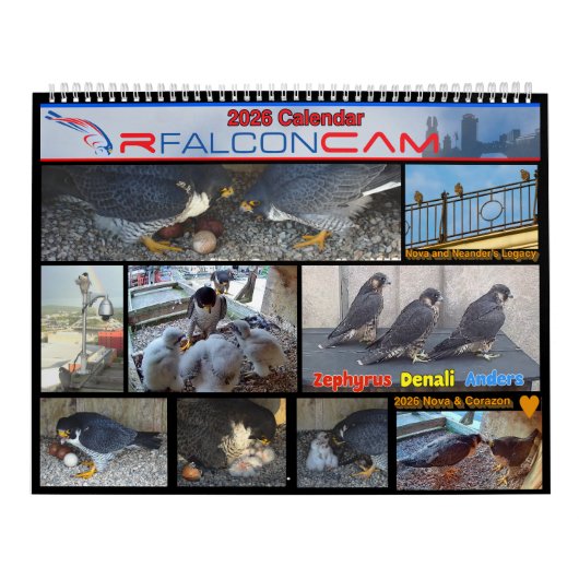 2026 Rfalconcam Calendar Kalender (Hoes)