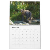 2026 Roaming with Giants - Een grizzly Beer Kalend Kalender (Mar 2026)