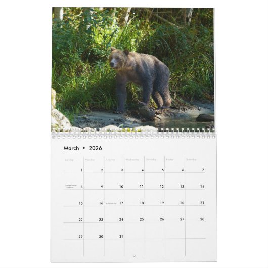 2026 Roaming with Giants - Een grizzly Beer Kalend Kalender (Mar 2026)