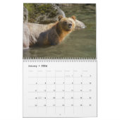 2026 Roaming with Giants - Een grizzly Beer Kalend Kalender (Jan 2026)