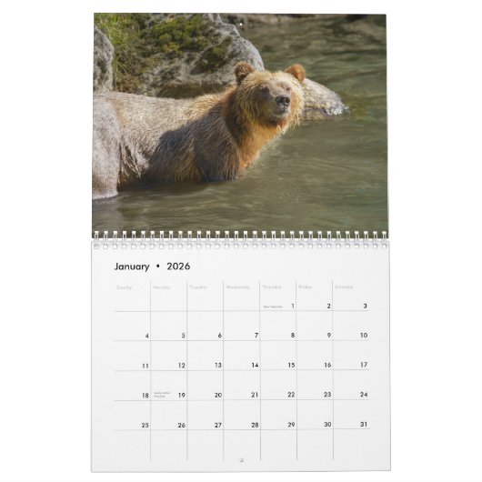 2026 Roaming with Giants - Een grizzly Beer Kalend Kalender (Jan 2026)