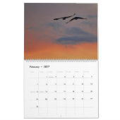 2026 Roofvogel Roes Kalender (Feb 2027)